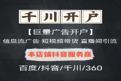 百度竞价广告的投放策略与成功案例分析